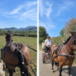 Hippo Trail Avenir – 15 et 16 MAI à Aurillac