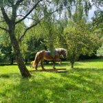 Portfolio Mountain Trail – 7 Juin